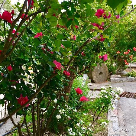 Apartmani Peric Bar Kültér fotó