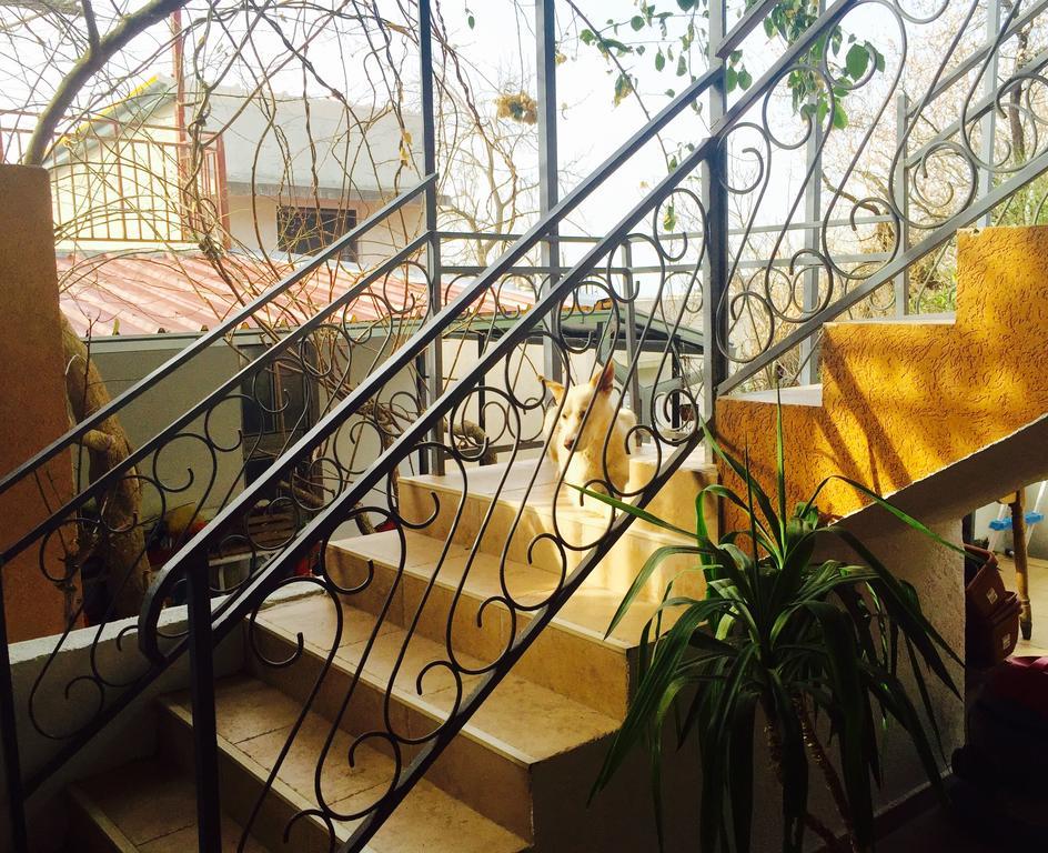Apartmani Peric Bar Kültér fotó